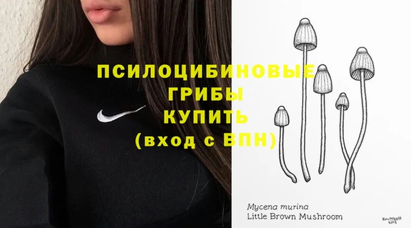 шишки Володарск