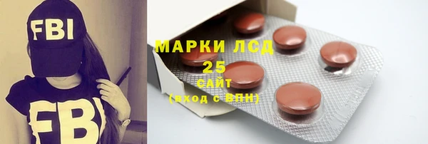 шишки Володарск
