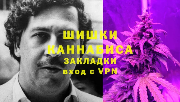 шишки Володарск