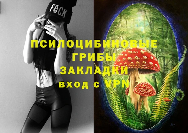 Альфа ПВП Волосово