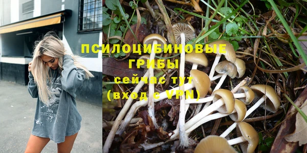 шишки Володарск