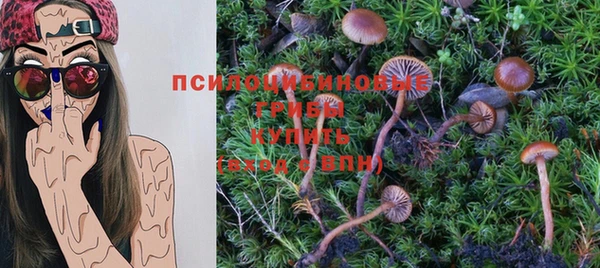 шишки Володарск